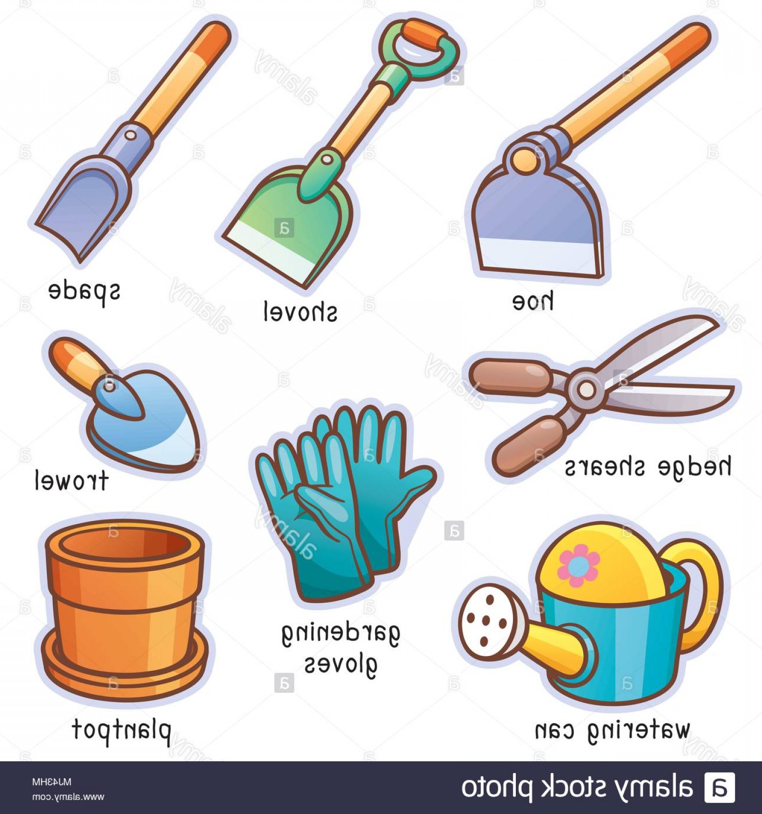 1560x1668 Vector Illustration Of Cartoon Garden Tools Vocabulary Image