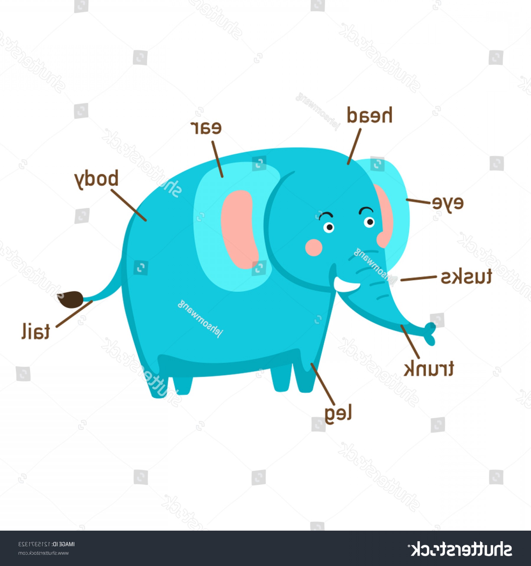 1800x1920 Vector Vocabulary Cell Structure And Function Hoodamathrun