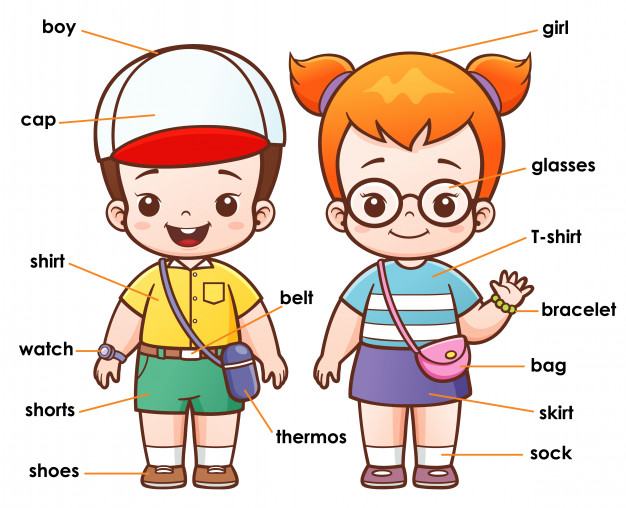 626x508 Vocabulary Clothing Vector Premium Download