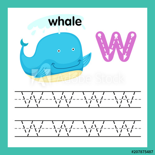 500x500 Alphabet W Exercise With Cartoon Vocabulary Illustration, Vector