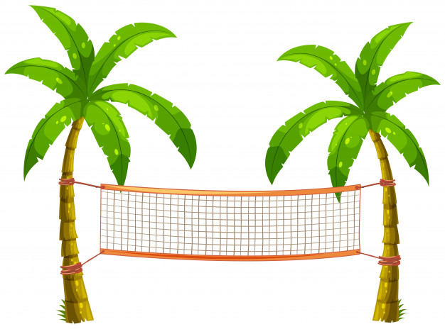 626x464 Volleyball Net On Coconut Trees Vector Premium Download