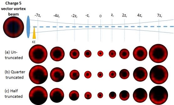 555x336 Intensity Profiles Of Charge Vector Vortex Beam Propagated