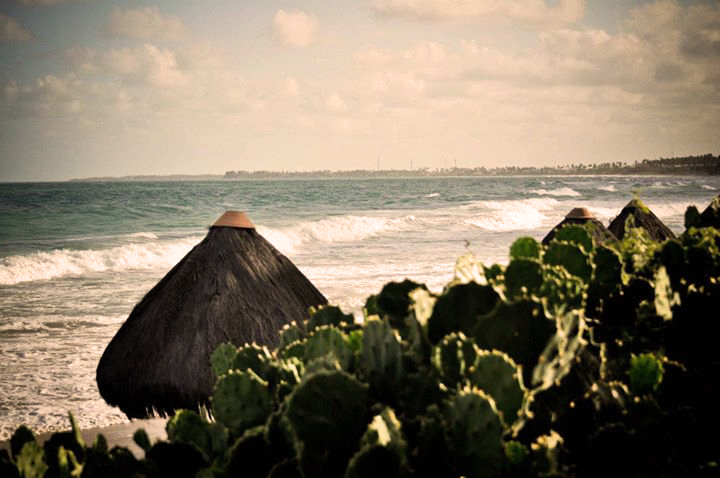 720x478 Vector Voyage Costa Rica Beach