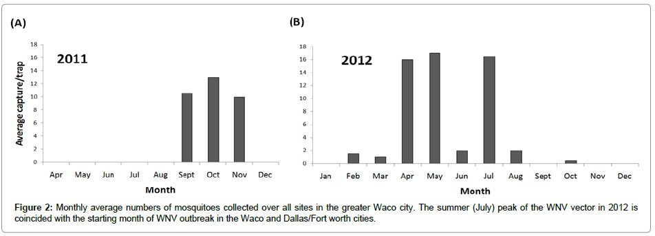 952x343 The Effects Of Temperature And Precipitation Onltigt Culex