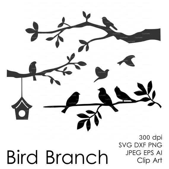 570x570 Bird Branch