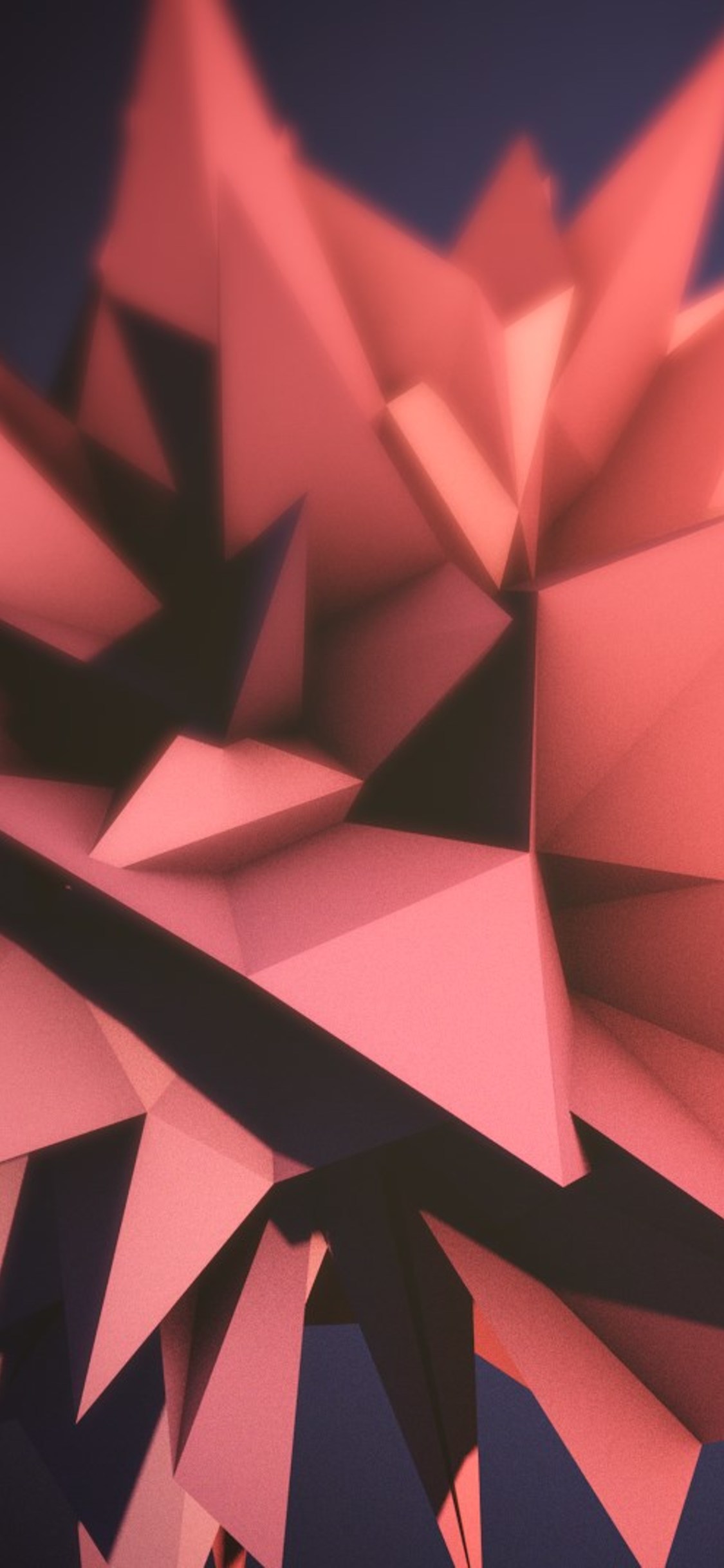 1125x2436 Flower Abstract Vector Iphone Xs,iphone X Hd