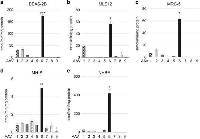 Optimization Of Adeno Associated Virus Vector Mediated Gene 658x456 Optimization Of Adeno Associated Virus Vector Mediated Gene
