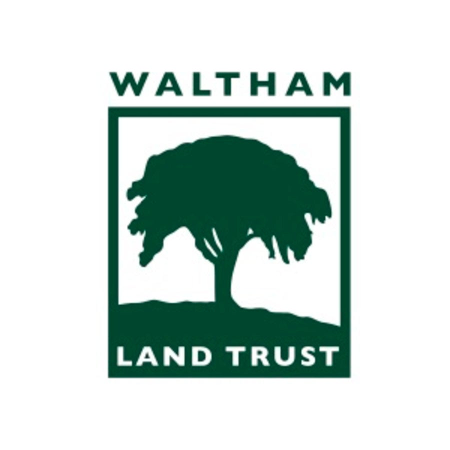 Waltham Land Trust Opposes Use Of Chesterbrook Woods For H S 900x900 Waltham Land Trust Opposes Use Of Chesterbrook Woods For H S