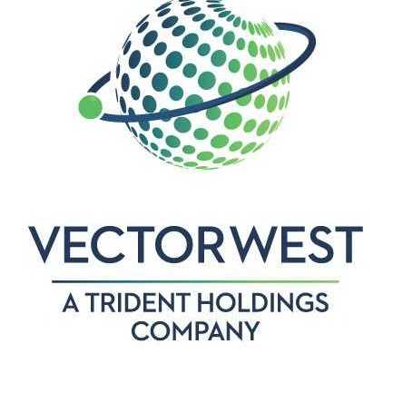 433x433 Vector West Staffing Long Beach, Ca Business Directory