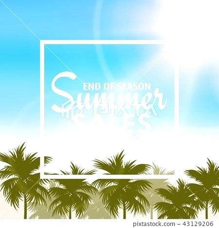 450x468 Palm Tree Sales Myrtle Beach Sc North Florida Central