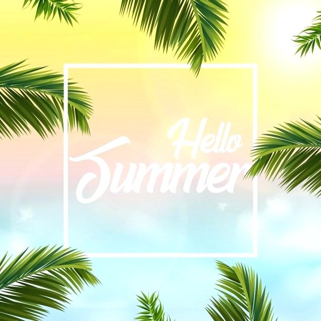 626x626 Palm Tree Sales