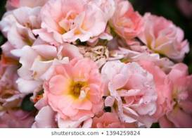 273x196 Julia's Florist Wilmington