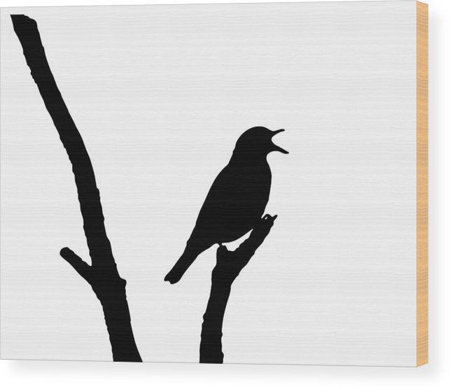 643x556 Song Thrush Vector Wood Print