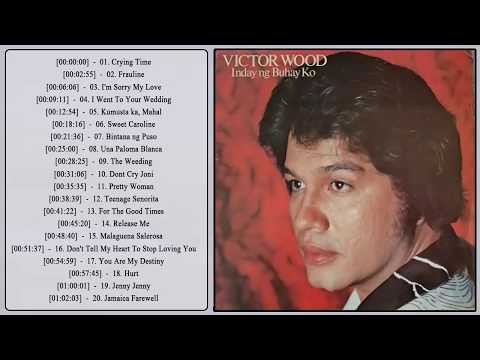 480x360 Vector Wood Song Medly