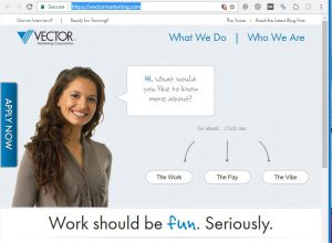 300x220 Vector Marketing Review What You Need To Know Before