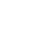 180x180 Vector Wrestling