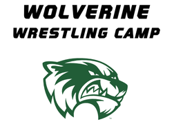 252x180 Summer Wrestling Camps