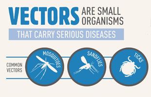 310x200 World Health Day Protect Yourself From Vector Borne Diseases