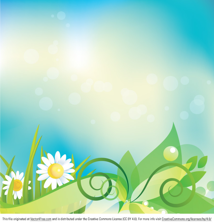 893x936 Daisy Vector Background
