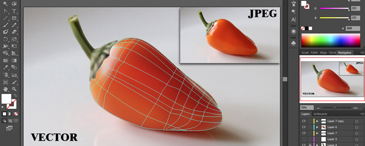 750x300 Vector Art Services