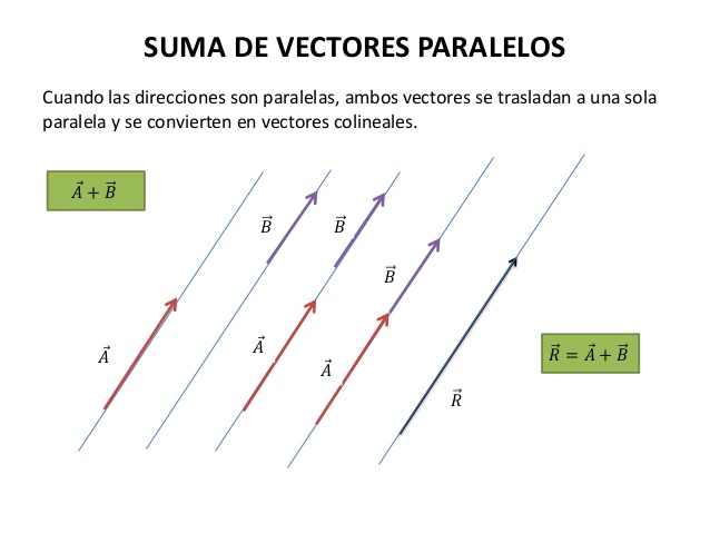 Vectores Paralelos At Vectorified.com | Collection Of Vectores ...