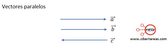 540x145 De Los Vectores Cibertareas