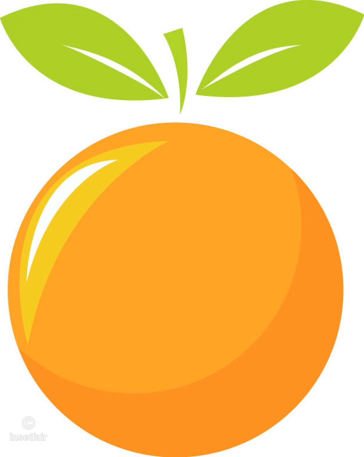 1273x1600 Orange Fruit Vector Illustration Clipart Image