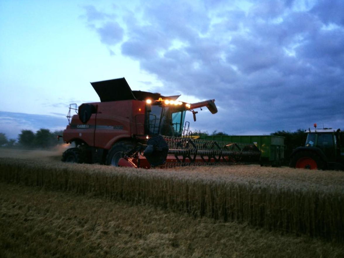 1176x880 Promising Movements In Modern Agriculture My Weekly Five