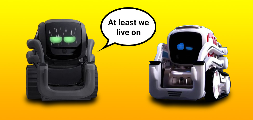 1050x499 Anki Closes But Cozmo And Vector Live