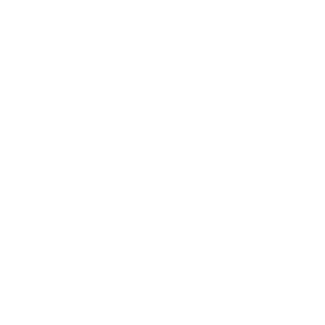 300x300 Vectorlive
