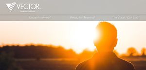 300x145 Vector Marketing Reviews