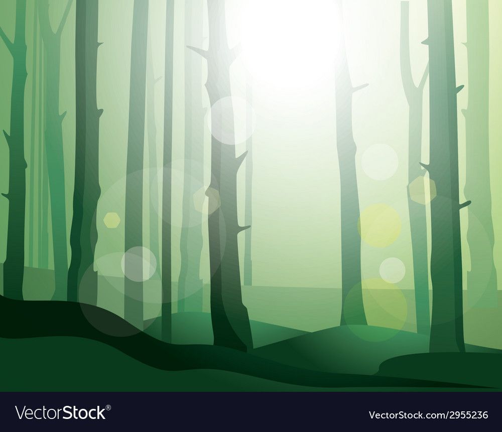 1000x860 Enigmatic Forest Royalty Free Vector Image