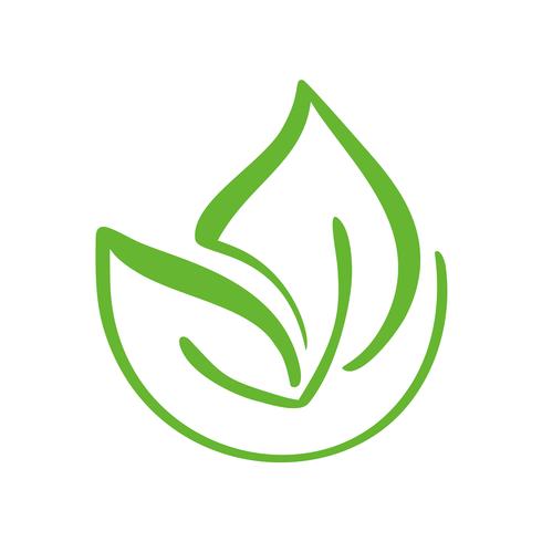 Logo Of Green Leaf Of Tea Ecology Nature Element Vector Icon 490x490 Logo Of Green Leaf Of Tea Ecology Nature Element Vector Icon