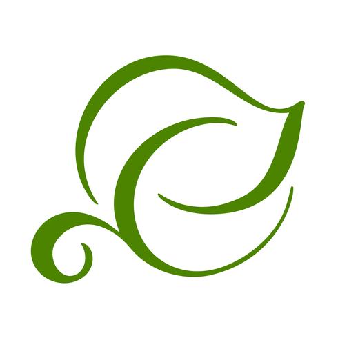 Logo Of Green Leaf Of Tea Ecology Nature Element Vector Icon 490x490 Logo Of Green Leaf Of Tea Ecology Nature Element Vector Icon