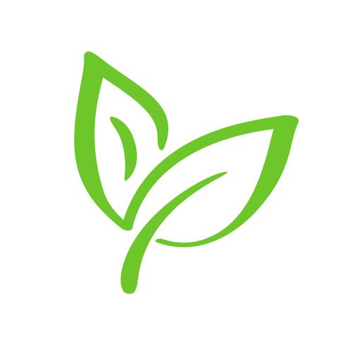 Logo Of Green Leaf Of Tea Ecology Nature Element Vector Icon Eco 490x490 Logo Of Green Leaf Of Tea Ecology Nature Element Vector Icon Eco