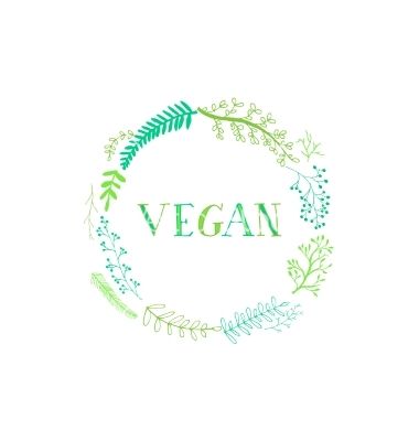 Handdrawing Inscription Vegan Vector Vegan 380x400 Handdrawing Inscription Vegan Vector Vegan
