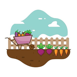 Vegetable Garden Vector