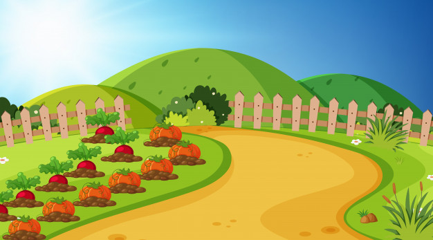 626x347 Landscape Background Of Vegetable Garden Vector Premium Download
