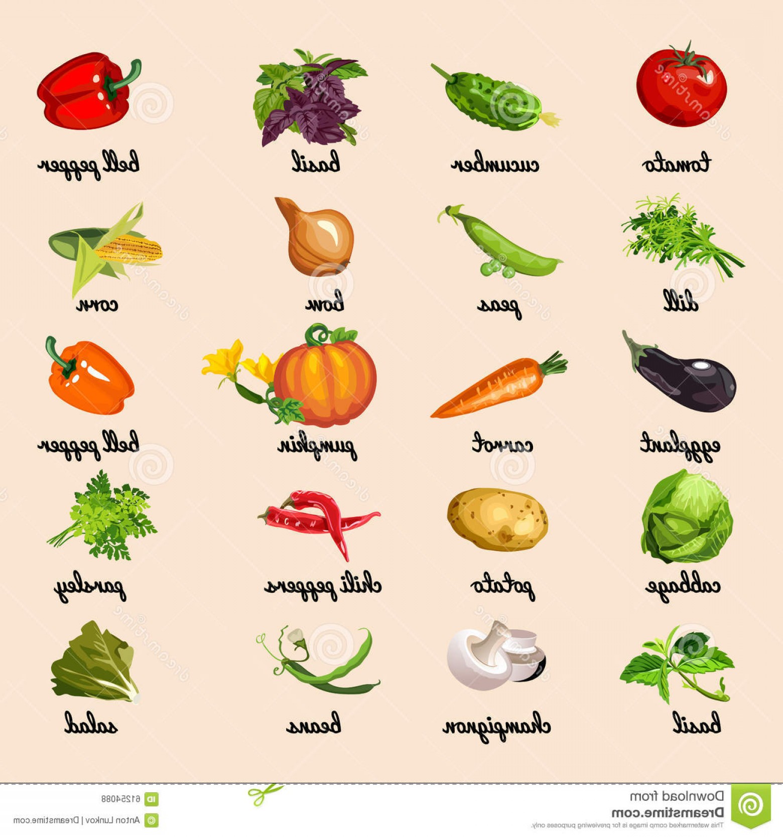 Vegetable Garden Vector at Vectorified.com | Collection of Vegetable ...