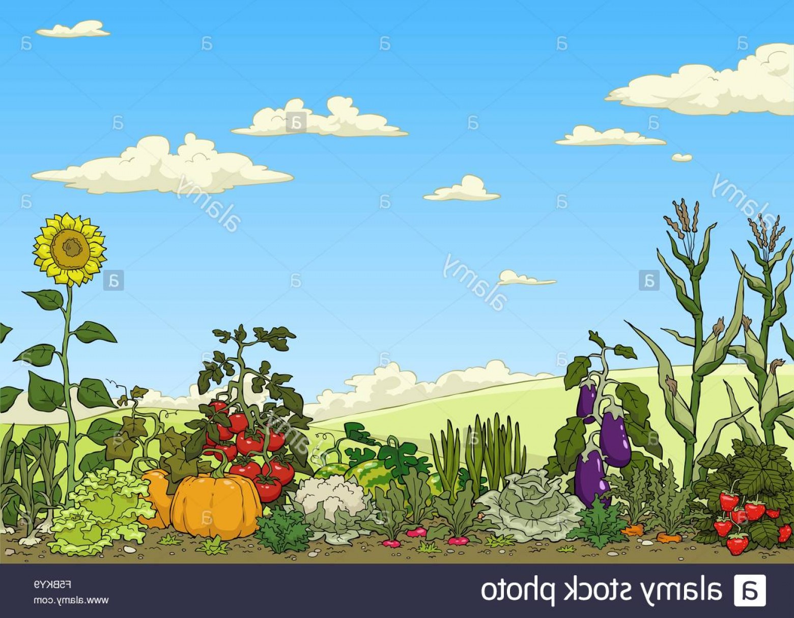 Vegetable Garden Vector at Vectorified.com | Collection of Vegetable ...