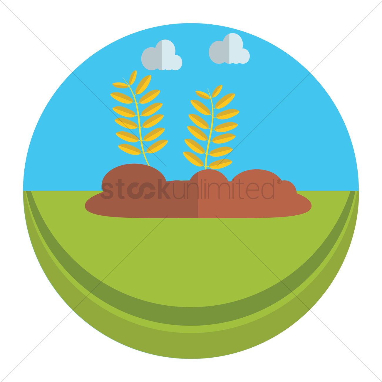 1300x1300 Vegetable Garden Vector Image