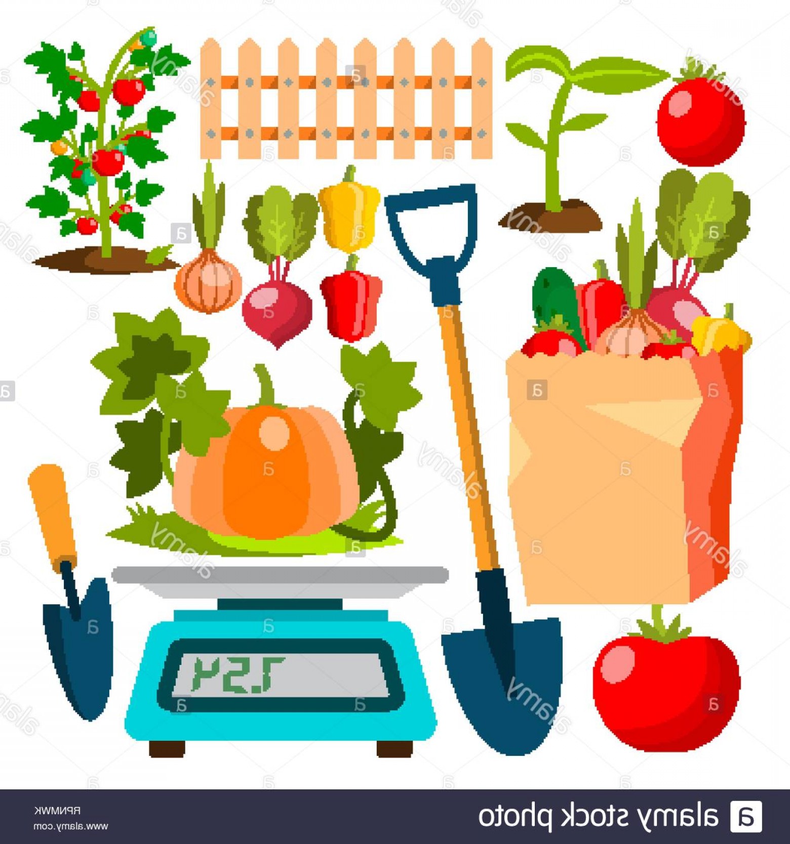 1560x1668 Ecological Vegetables Gardening Vegetable Garden Vector Natural