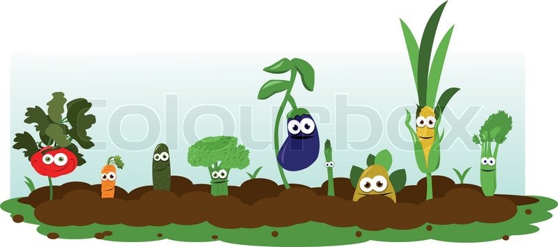 800x355 Funny Veggie Garden Stock Vector Colourbox