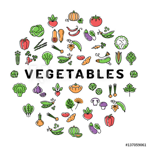 500x500 Vegetable Icon Circle Infographics Colorful Veggies Banner Mega