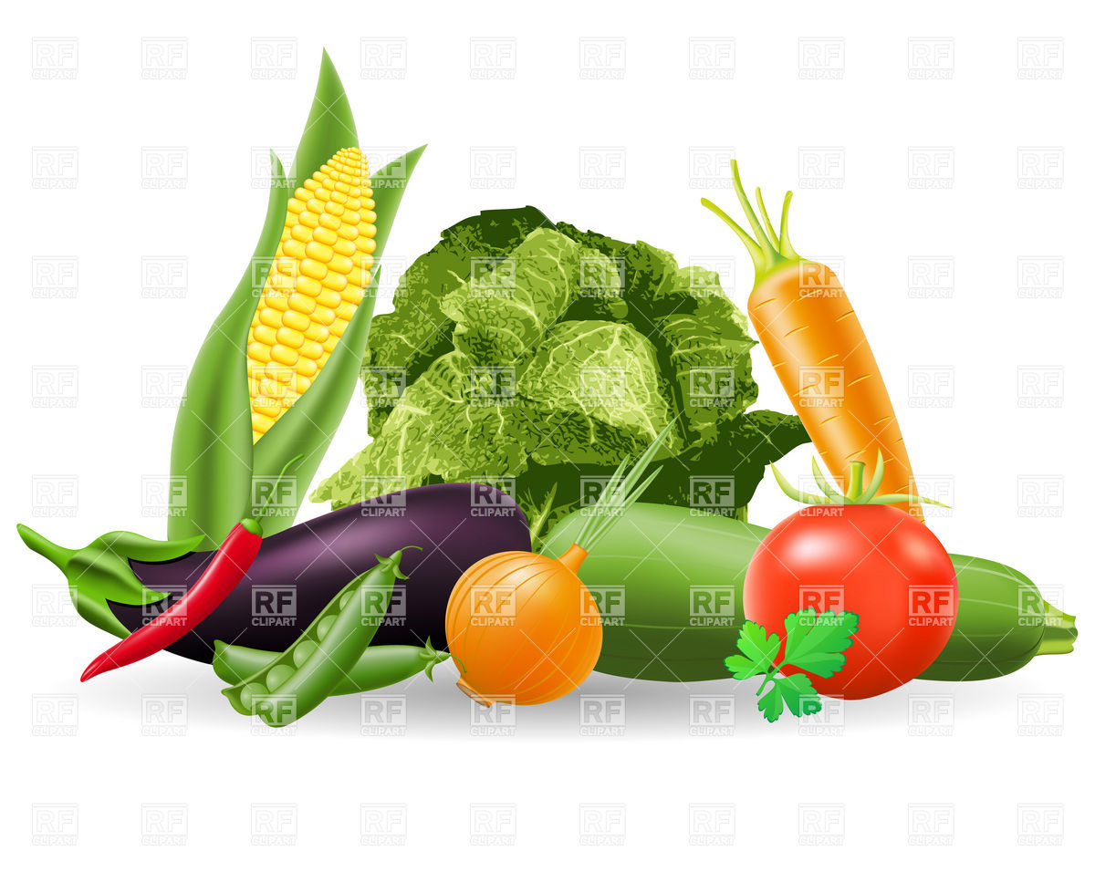 1200x967 Still Life Of Vegetables Vector Image Of Food And Beverages