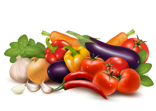 500x355 Various Vegetable Vector Art Background Free Download