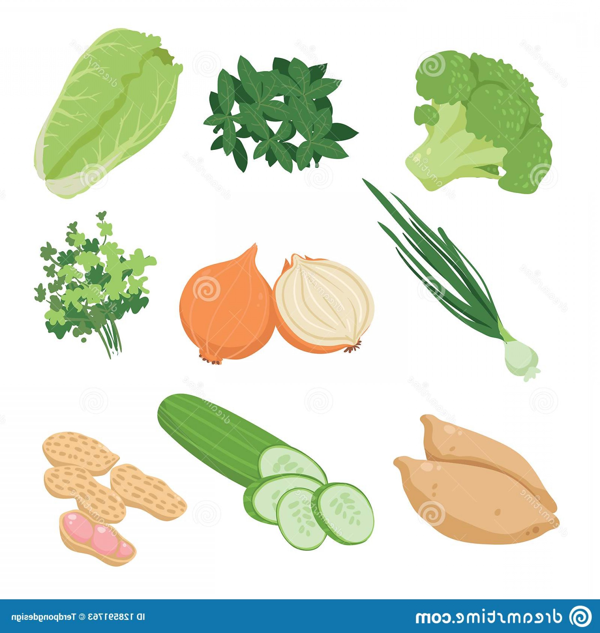 1920x2028 Vegetable Vector Collection Design Food Image Soidergi