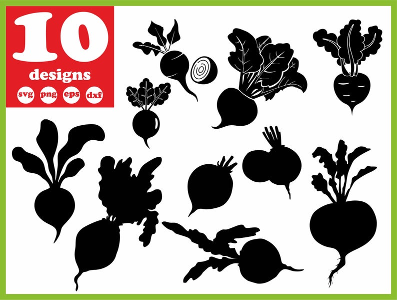 794x599 Beet Vegetable Vector Cocking Decal Veggies Or Cricut Etsy