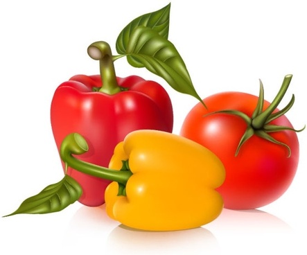 443x368 Vegetable Free Vector Download