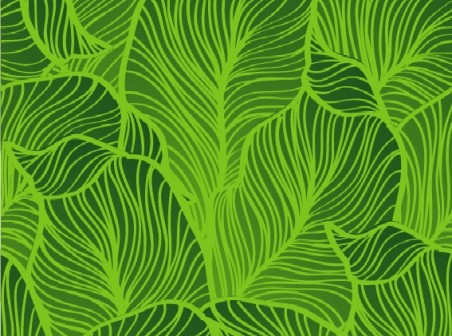 Vegetables Background Vector